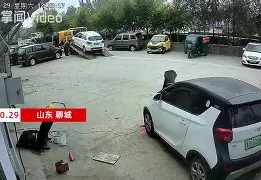 ??pCSB蹿}摇?u耏w蝍|M鬳N鼥L鶓